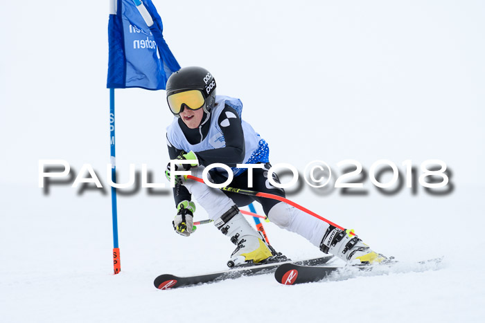 SVM Sechzger Pokal, 10.03.2018