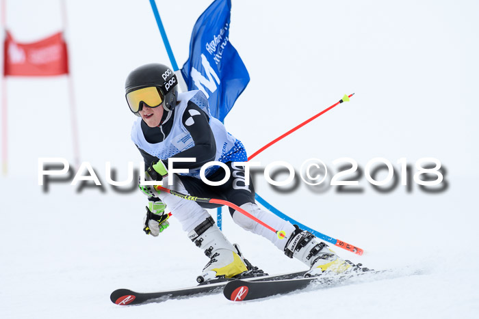SVM Sechzger Pokal, 10.03.2018