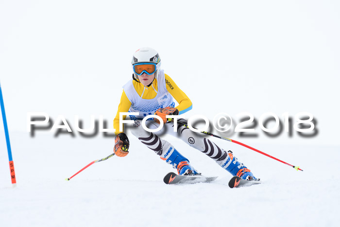 SVM Sechzger Pokal, 10.03.2018