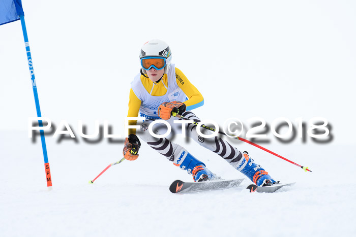 SVM Sechzger Pokal, 10.03.2018