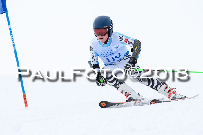 SVM Sechzger Pokal, 10.03.2018