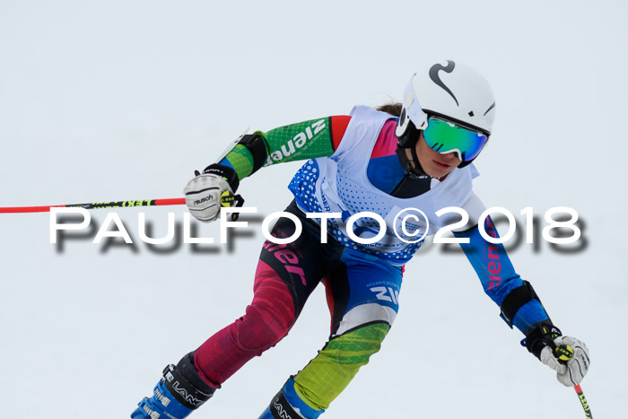 SVM Sechzger Pokal, 10.03.2018