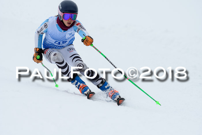 SVM Sechzger Pokal, 10.03.2018
