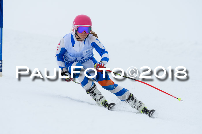 SVM Sechzger Pokal, 10.03.2018