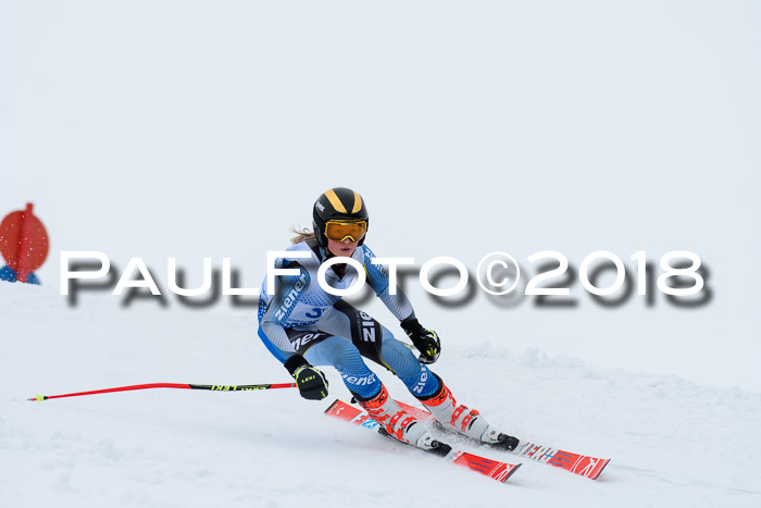 SVM Sechzger Pokal, 10.03.2018