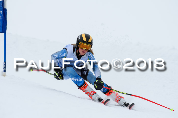 SVM Sechzger Pokal, 10.03.2018