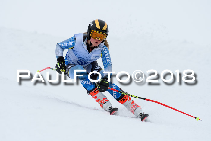 SVM Sechzger Pokal, 10.03.2018