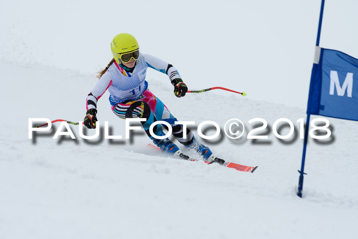 SVM Sechzger Pokal, 10.03.2018