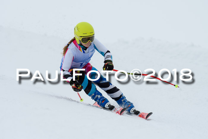 SVM Sechzger Pokal, 10.03.2018