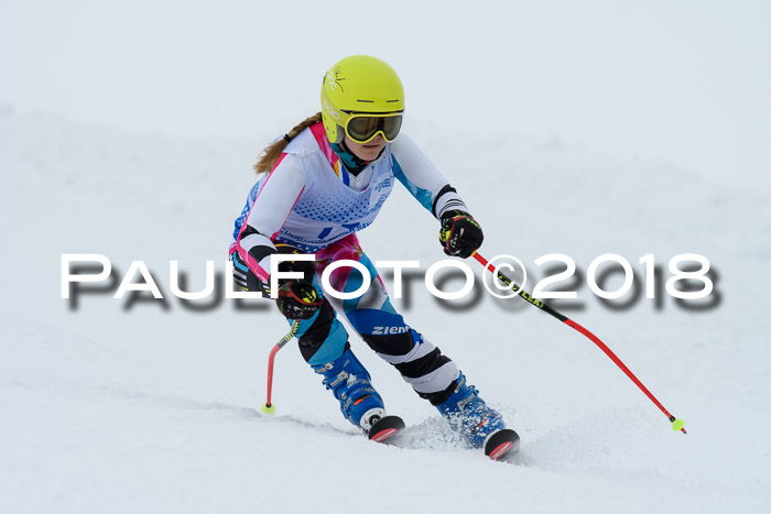 SVM Sechzger Pokal, 10.03.2018