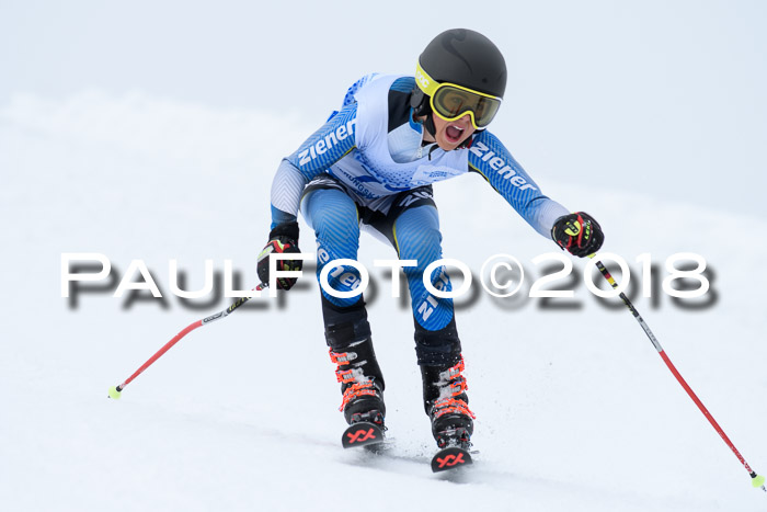 SVM Sechzger Pokal, 10.03.2018