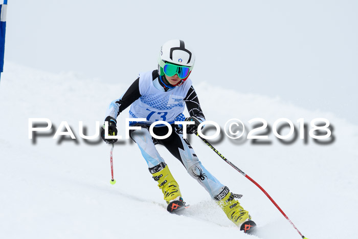 SVM Sechzger Pokal, 10.03.2018