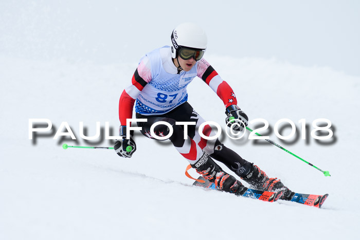 SVM Sechzger Pokal, 10.03.2018