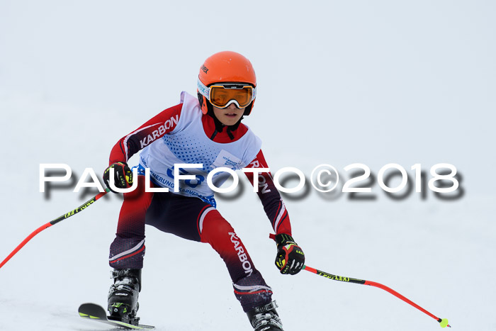 SVM Sechzger Pokal, 10.03.2018