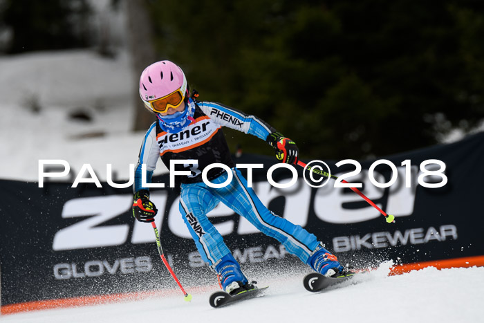 4. Ziener Cup 2018 RS ASV
