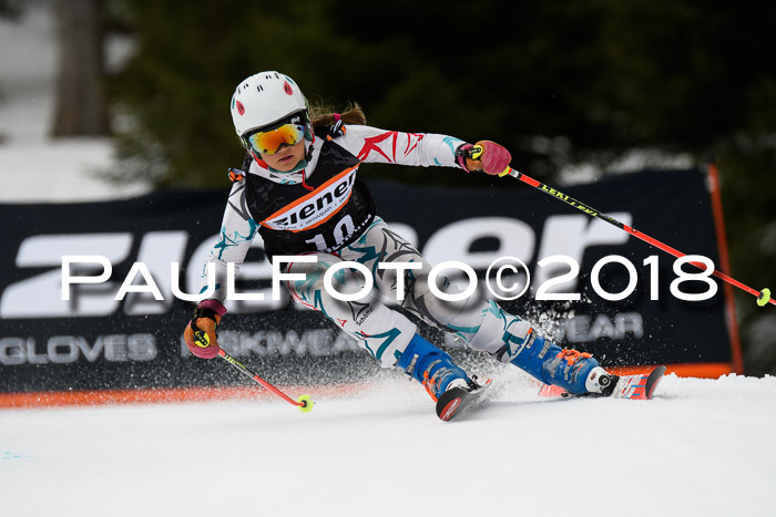 4. Ziener Cup 2018 RS ASV