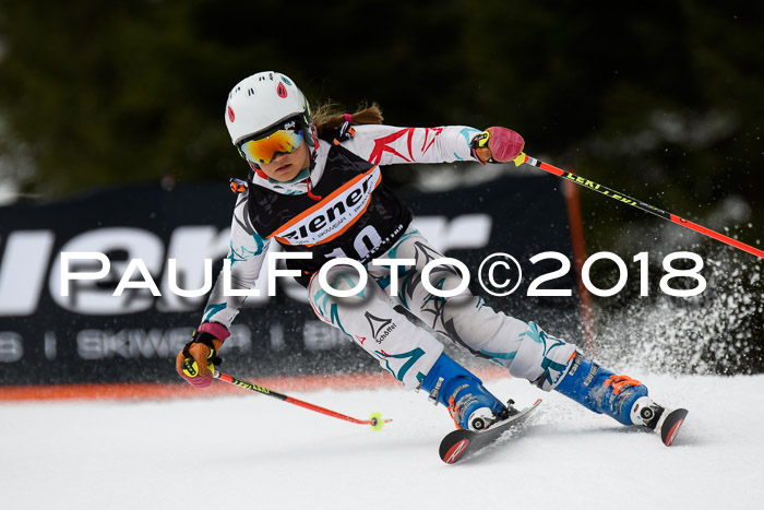 4. Ziener Cup 2018 RS ASV