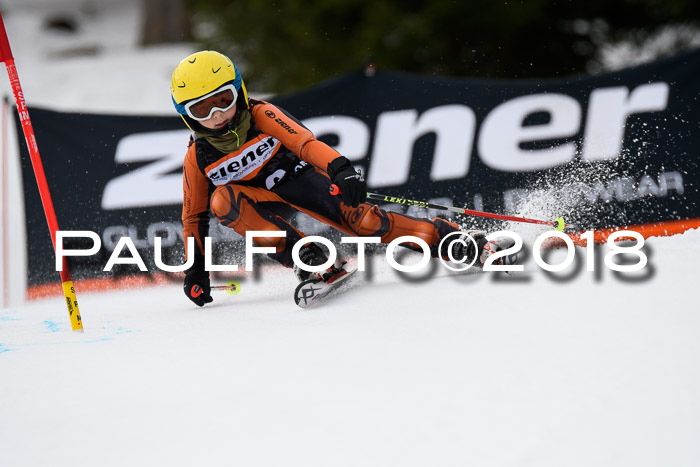 4. Ziener Cup 2018 RS ASV