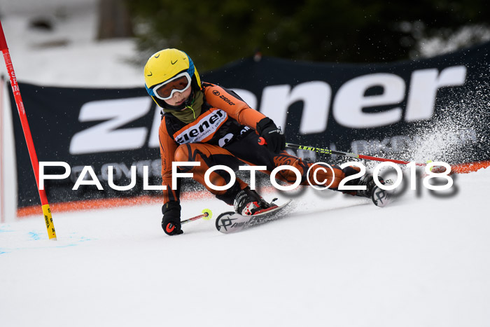 4. Ziener Cup 2018 RS ASV