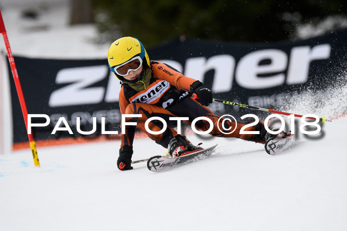 4. Ziener Cup 2018 RS ASV