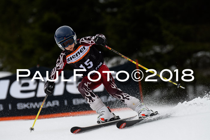 4. Ziener Cup 2018 RS ASV