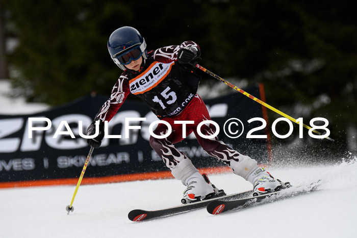 4. Ziener Cup 2018 RS ASV