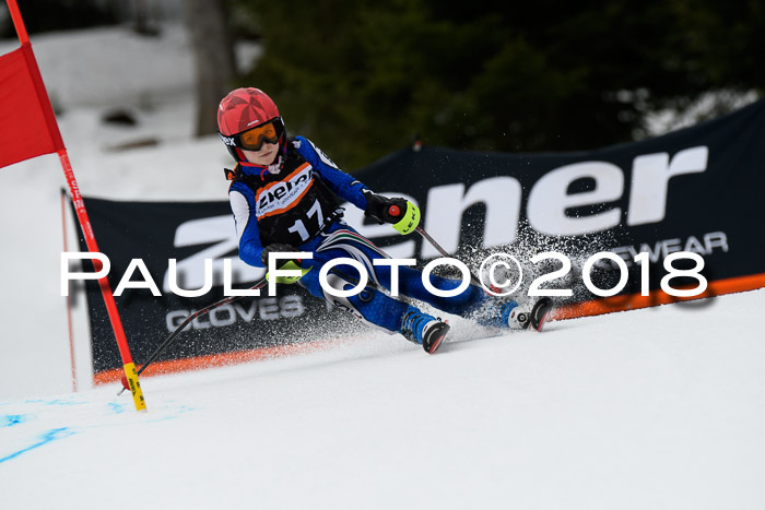 4. Ziener Cup 2018 RS ASV