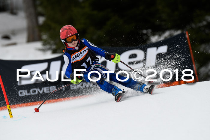 4. Ziener Cup 2018 RS ASV