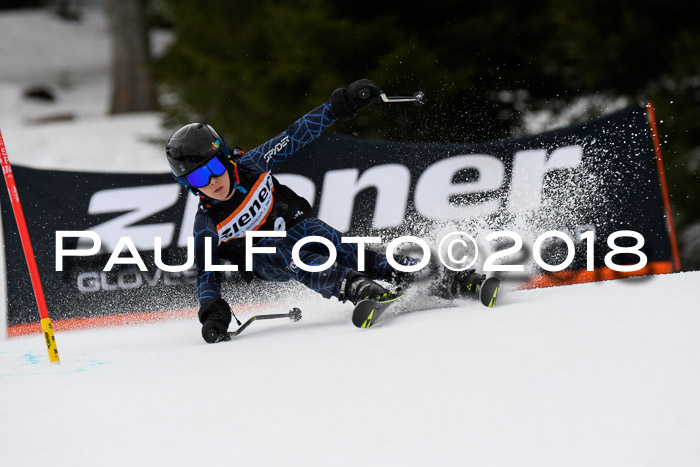 4. Ziener Cup 2018 RS ASV