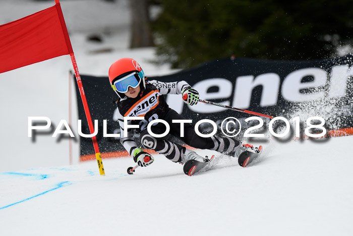 4. Ziener Cup 2018 RS ASV