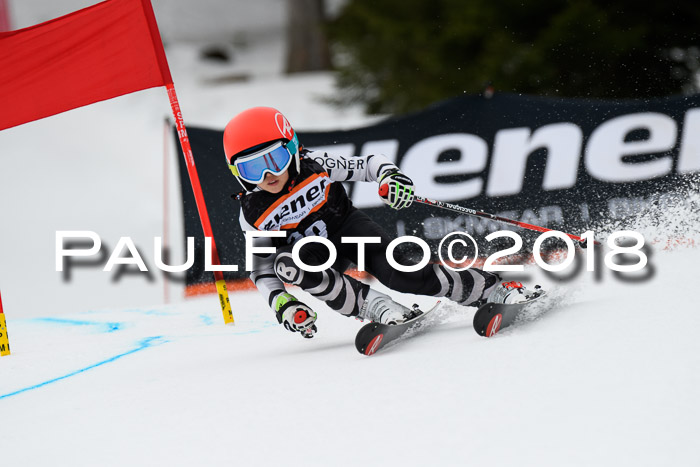 4. Ziener Cup 2018 RS ASV