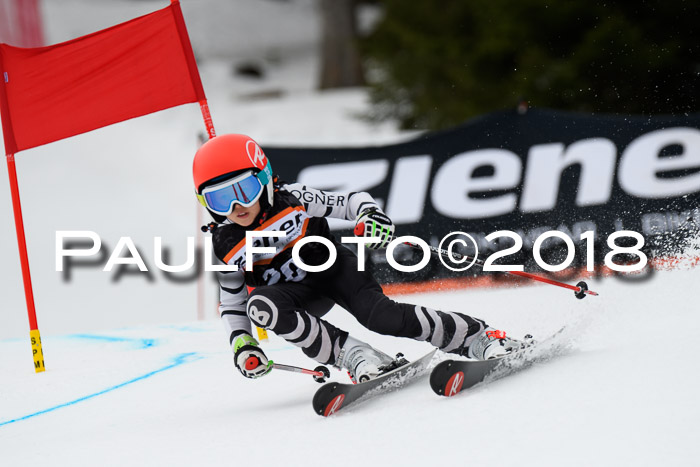 4. Ziener Cup 2018 RS ASV