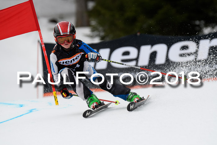 4. Ziener Cup 2018 RS ASV