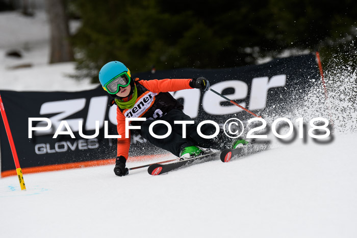 4. Ziener Cup 2018 RS ASV