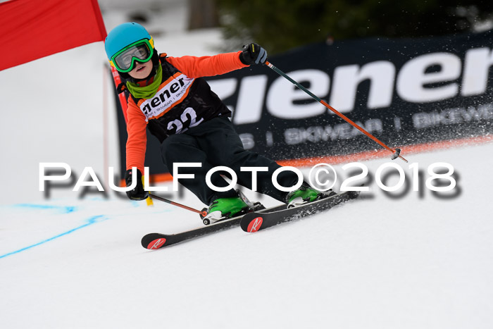 4. Ziener Cup 2018 RS ASV