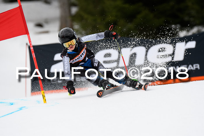 4. Ziener Cup 2018 RS ASV