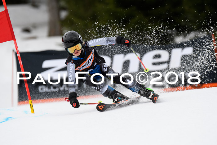 4. Ziener Cup 2018 RS ASV