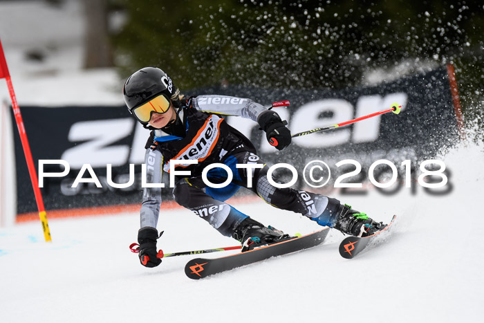 4. Ziener Cup 2018 RS ASV