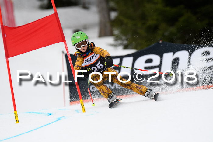 4. Ziener Cup 2018 RS ASV
