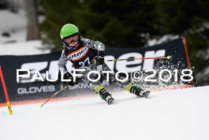 4. Ziener Cup 2018 RS ASV