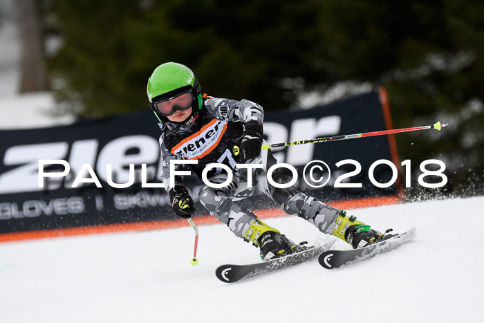 4. Ziener Cup 2018 RS ASV