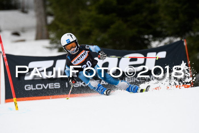 4. Ziener Cup 2018 RS ASV