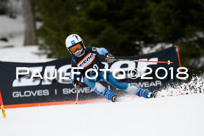 4. Ziener Cup 2018 RS ASV