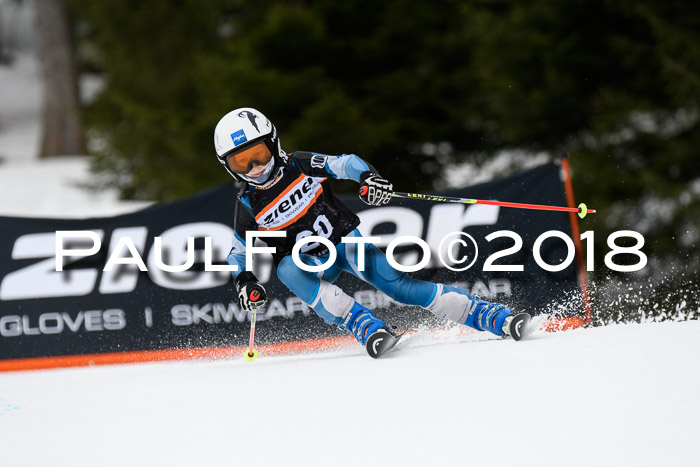 4. Ziener Cup 2018 RS ASV