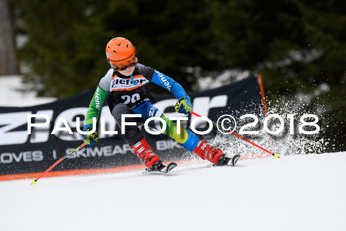 4. Ziener Cup 2018 RS ASV