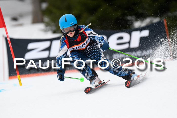 4. Ziener Cup 2018 RS ASV