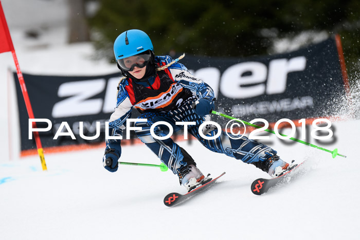 4. Ziener Cup 2018 RS ASV