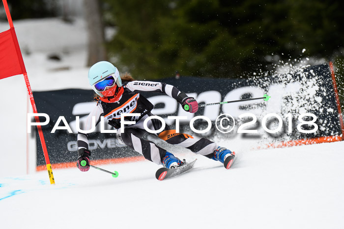 4. Ziener Cup 2018 RS ASV