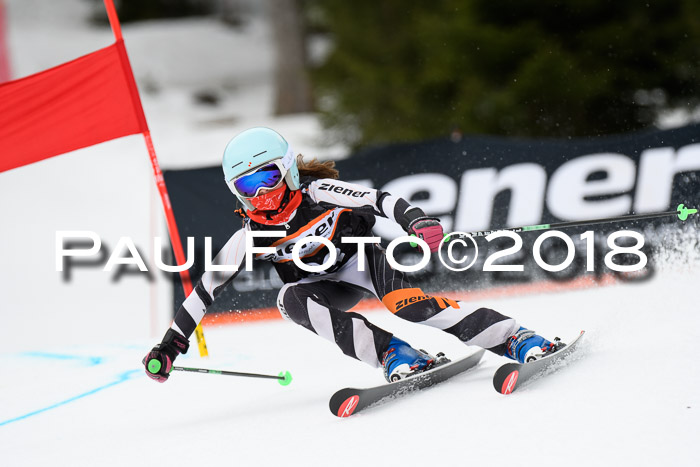 4. Ziener Cup 2018 RS ASV