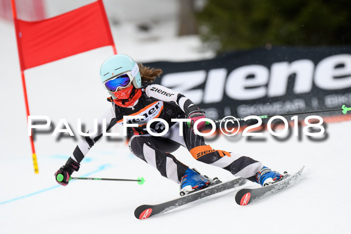 4. Ziener Cup 2018 RS ASV